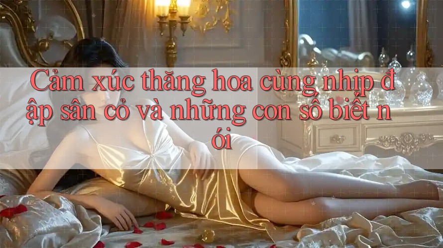 Cảm xúc thăng hoa cùng nhịp đập sân cỏ và những con số biết nói
