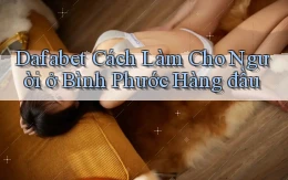 dafabet cách làm cho người ở Bình Phước hàng đầu