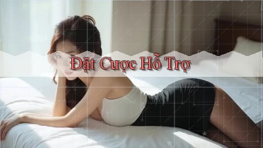 Đặt cược Hỗ trợ