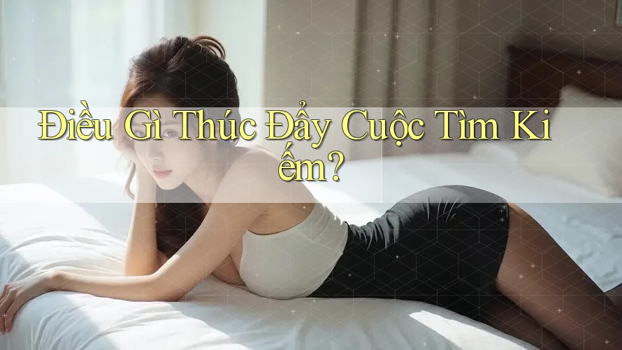 Điều Gì Thúc Đẩy Cuộc Tìm Kiếm? Điều Gì Thúc Đẩy Cuộc Tìm Kiếm?