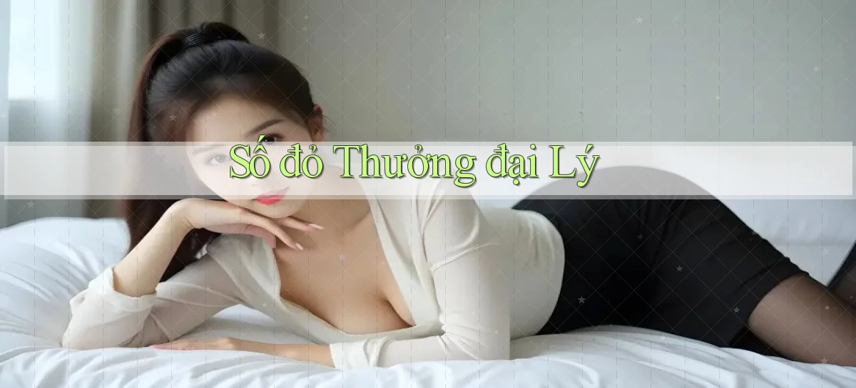 số đỏ Thưởng đại lý