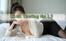 số đỏ Thưởng đại lý