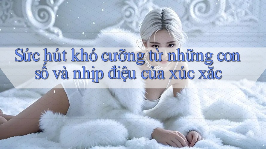 Sức hút khó cưỡng từ những con số và nhịp điệu của xúc xắc