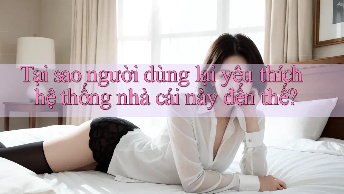 Tại sao người dùng lại yêu thích hệ thống nhà cái này đến thế?