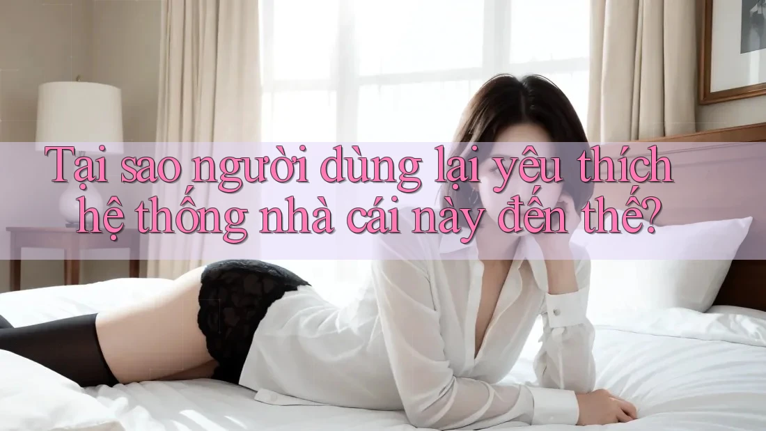 Tại sao người dùng lại yêu thích hệ thống nhà cái này đến thế?