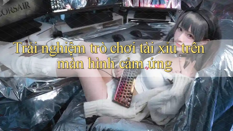 Trải nghiệm trò chơi tài xỉu trên màn hình cảm ứng