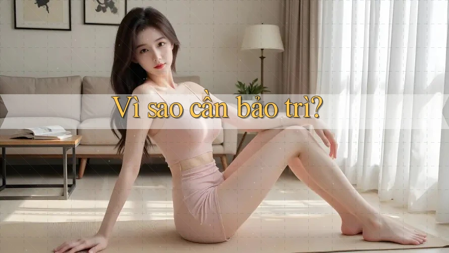 Vì sao cần bảo trì? Vì sao cần bảo trì?