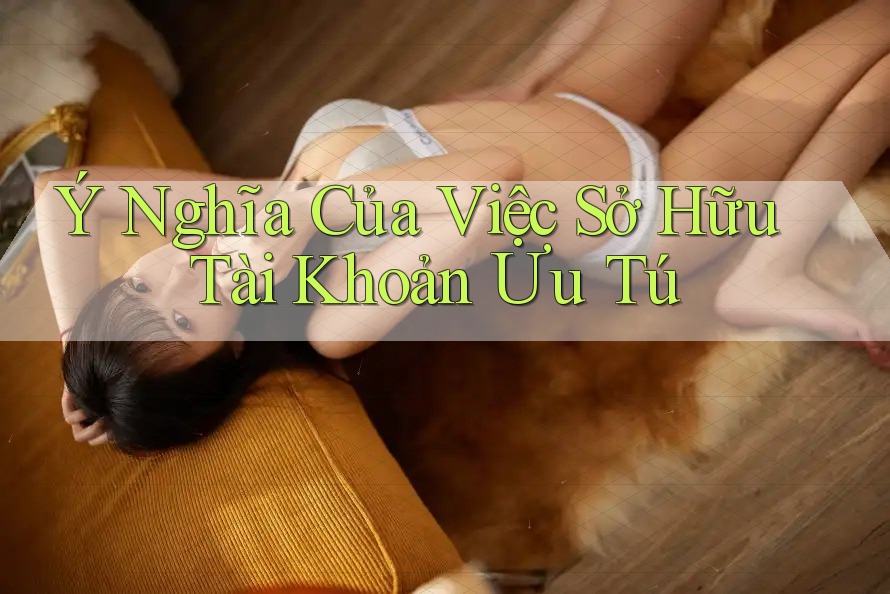 Ý Nghĩa Của Việc Sở Hữu Tài Khoản Ưu Tú